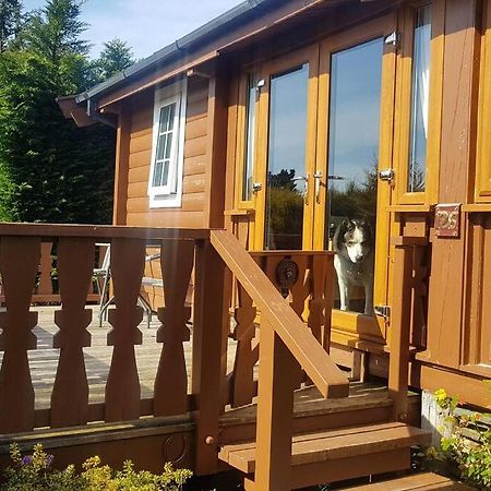 Ferienwohnung Cabin Trawsfynydd Exterior foto